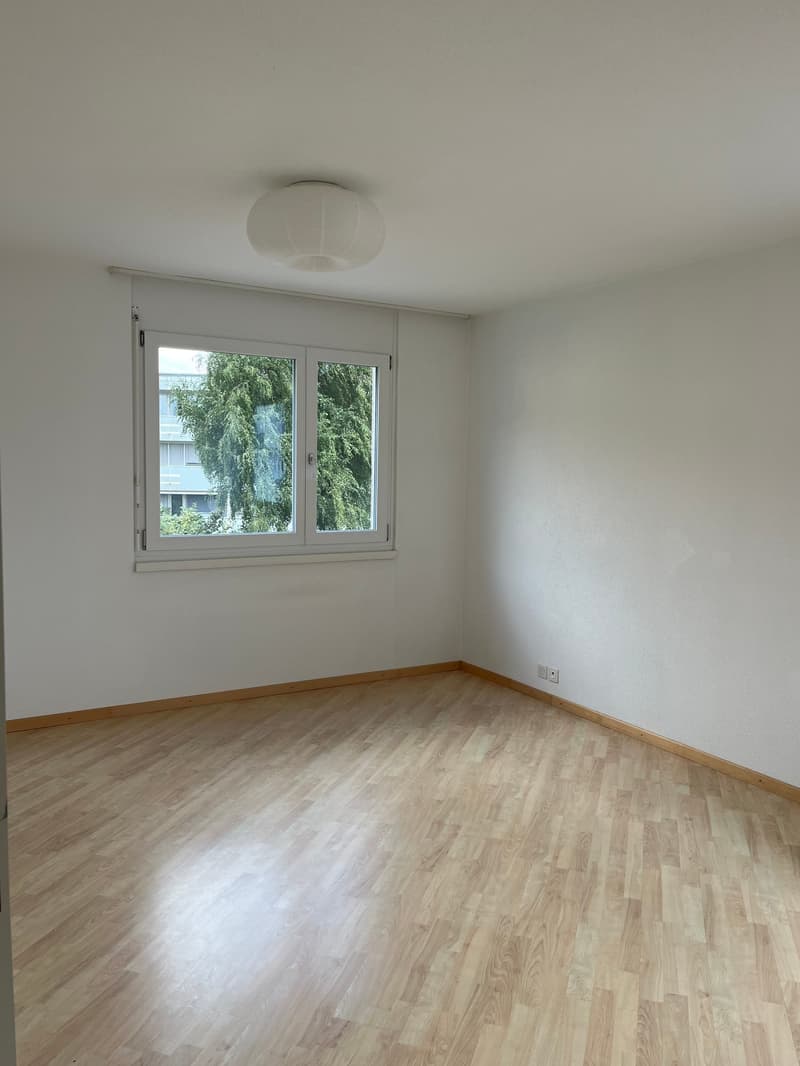 Grosse 4.5 Zi. Dachwohnung in 3 Familienhaus mit Rundumsicht (12)