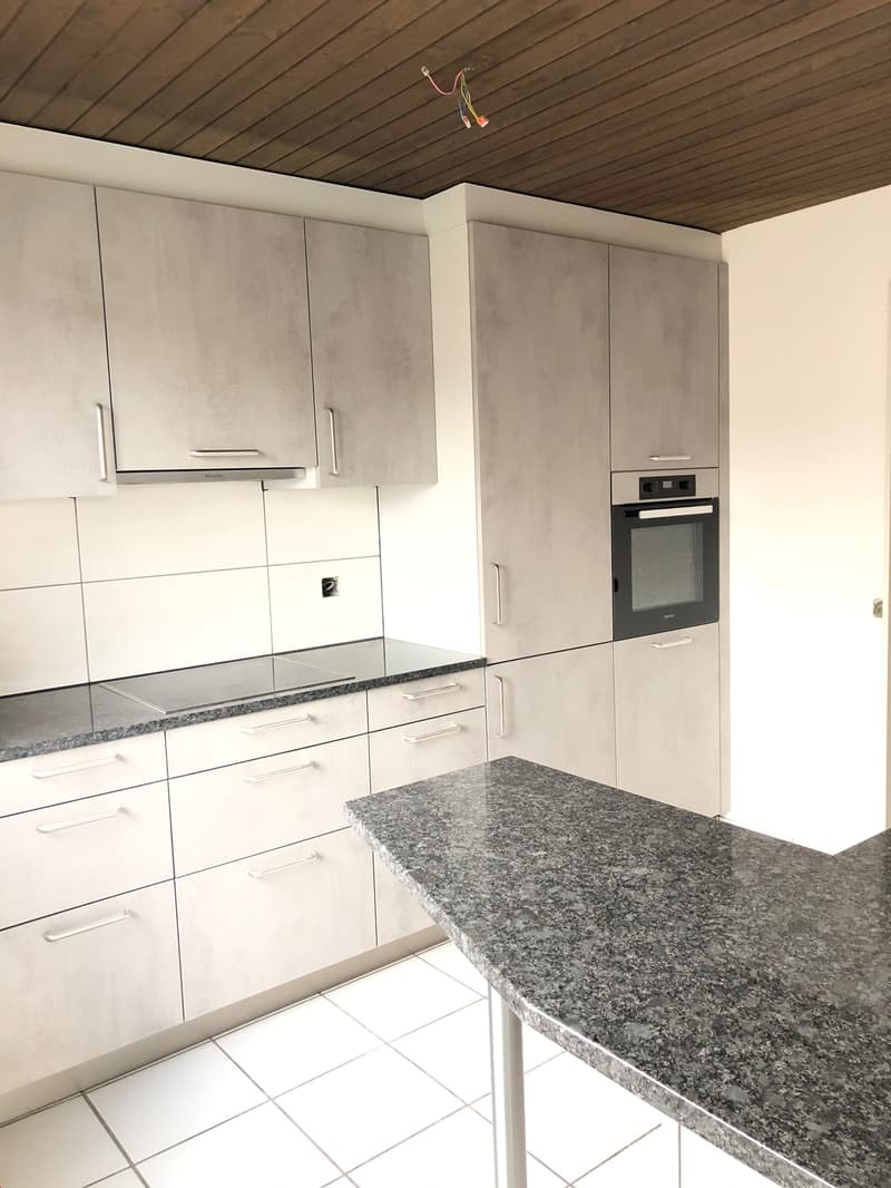 Grand appartement de 4,5 pièces sous les toits dans une maison de 3 familles avec vue panoramique (6)