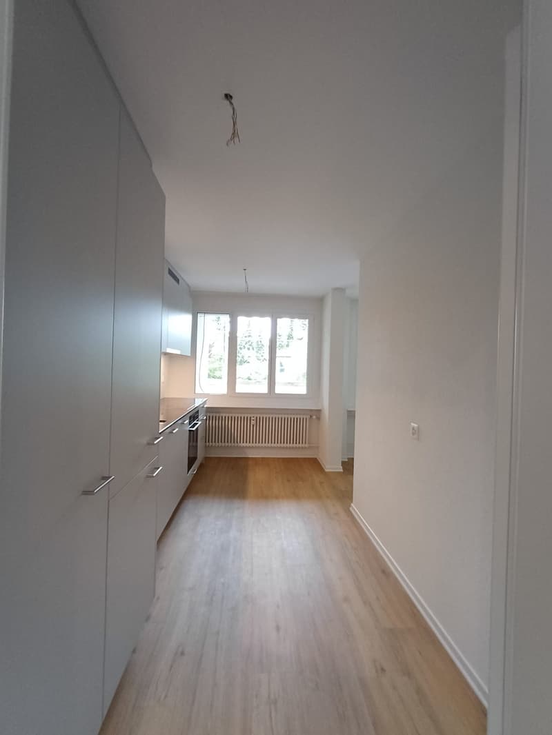 Charmante 3-Zimmer-Wohnung in ruhiger Lage in Reinach (4)