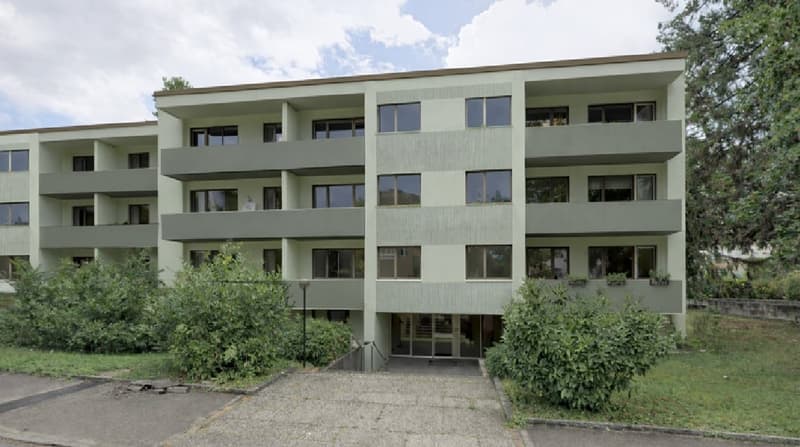 Charmante 3-Zimmer-Wohnung in ruhiger Lage in Reinach (1)