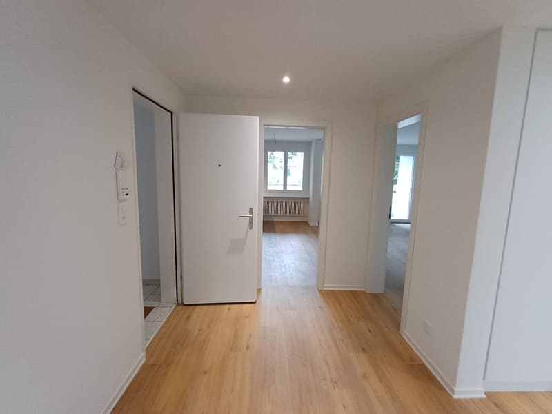 Charmante 3-Zimmer-Wohnung in ruhiger Lage in Reinach (3)