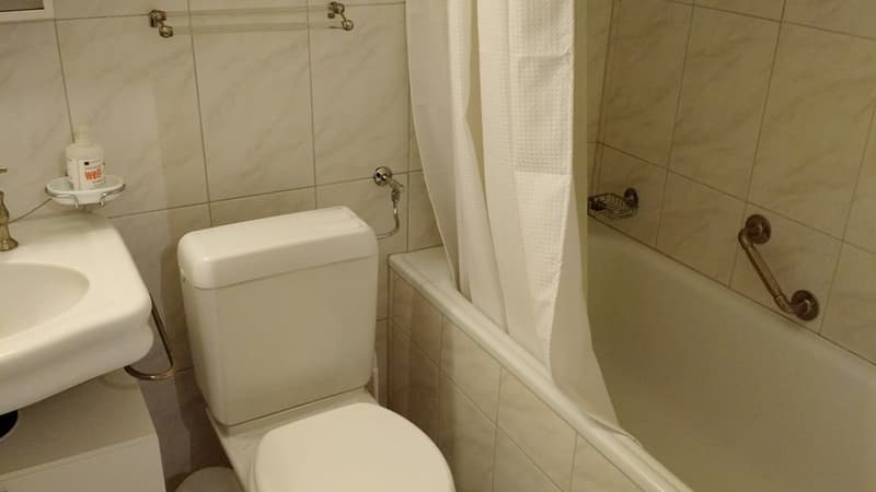 renoviert an zentraler und ruhiger Lage (6)