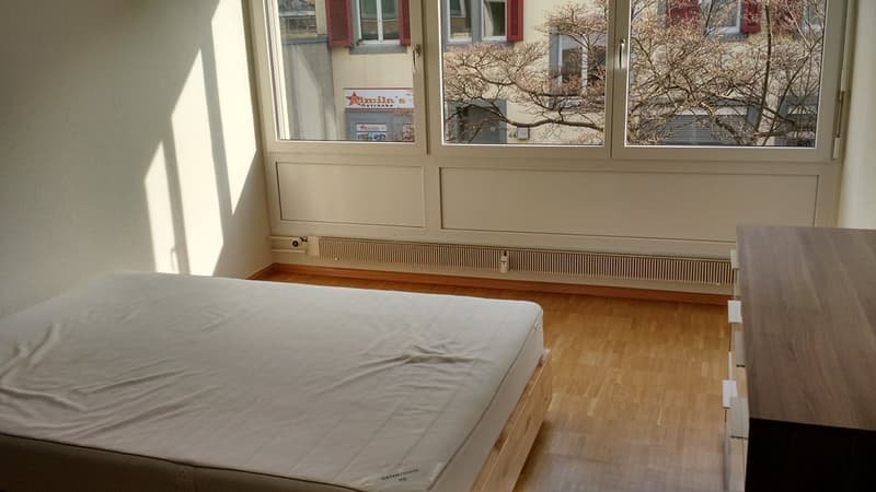 renoviert an zentraler und ruhiger Lage (5)
