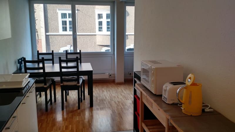 renoviert an zentraler und ruhiger Lage (4)