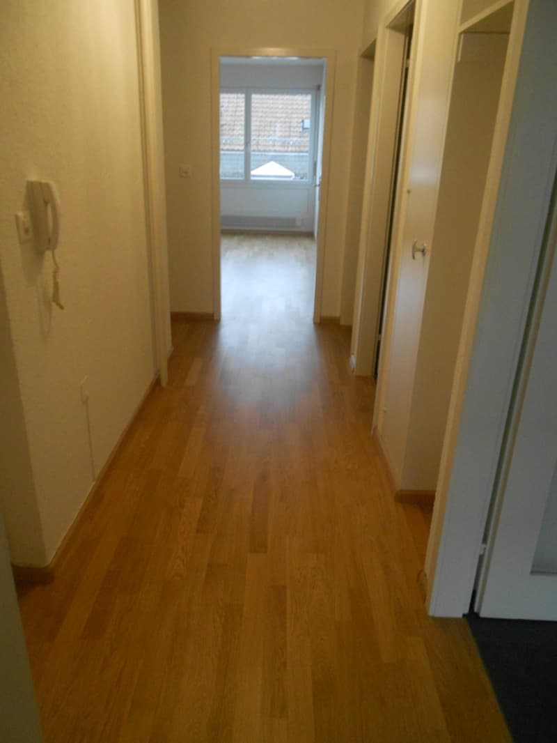 renoviert, zentral, ruhig und hell, Nähe Wettsteinplatz & Claraplatz (6)