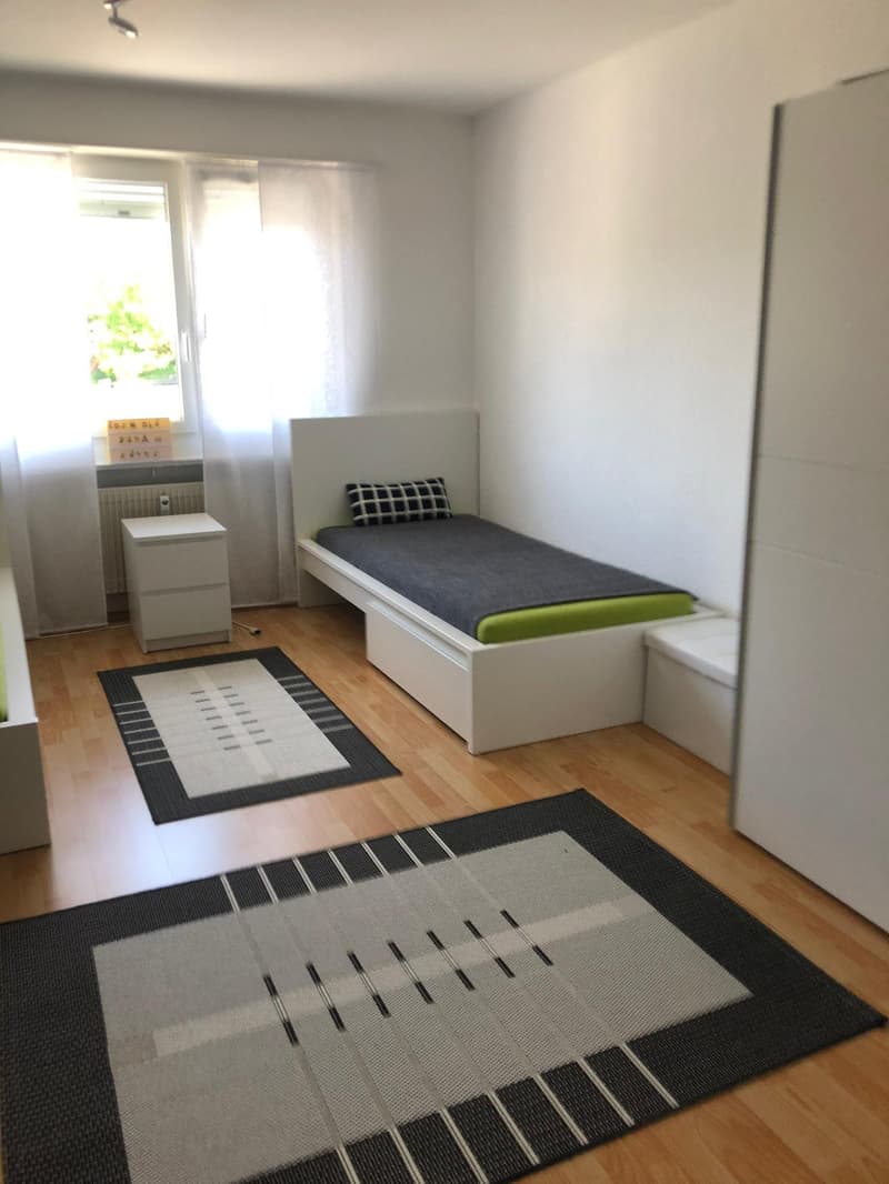renovierte helle 4-Zimmerwohnung an zentraler Lage (4)
