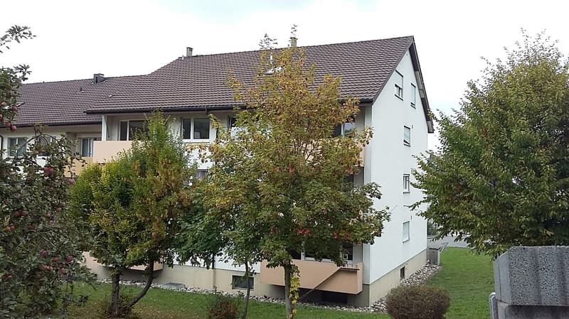 renovierte helle 4-Zimmerwohnung an zentraler Lage (11)