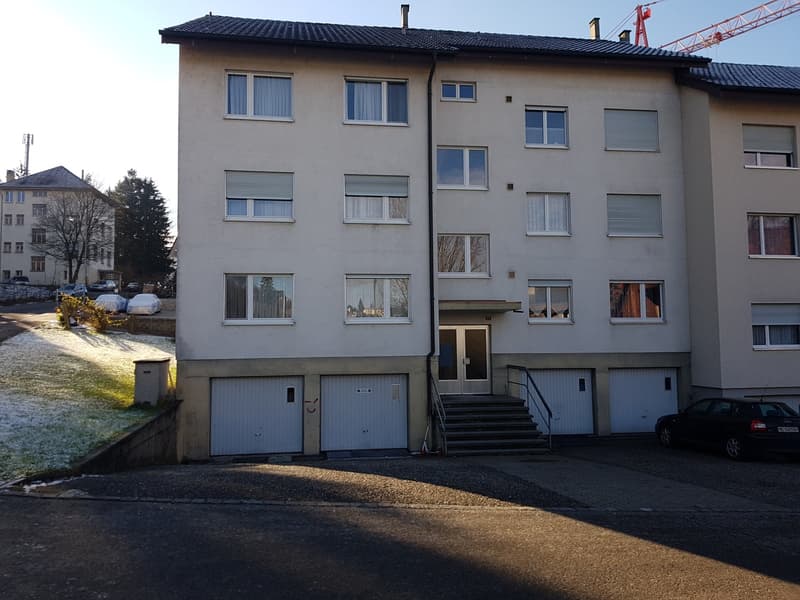 renovierte helle 4-Zimmerwohnung an zentraler Lage (1)
