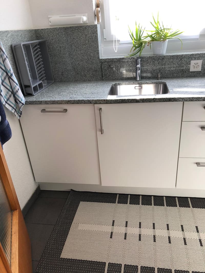 renovierte helle 4-Zimmerwohnung an zentraler Lage (10)