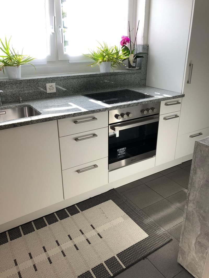 renovierte helle 4-Zimmerwohnung an zentraler Lage (2)