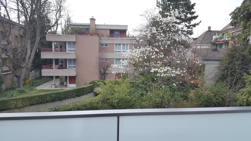 Business Apartment quiet & central with magnificent panoramic view! (13)