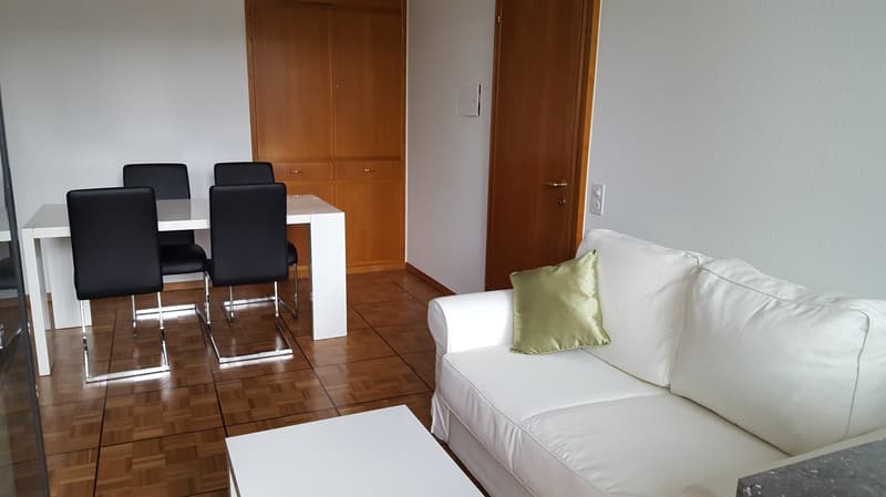 Business Apartment quiet & central with magnificent panoramic view! (7)