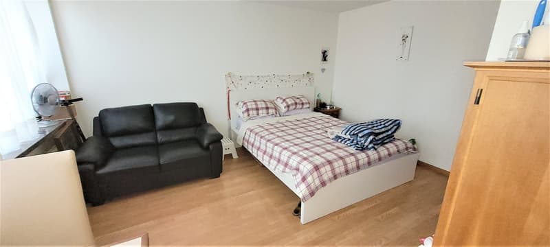 NEWLY REFURBISHED! Attic Business Apartment quiet,central & roof-deck & magnificent panoramic view (8)