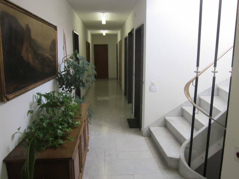 NEWLY REFURBISHED! Attic Business Apartment quiet,central & roof-deck & magnificent panoramic view (4)