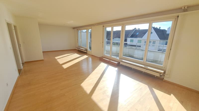 Traumhafte 4.5-Zimmer-Dachwohnung an der Palmenstrasse in Basel (3)