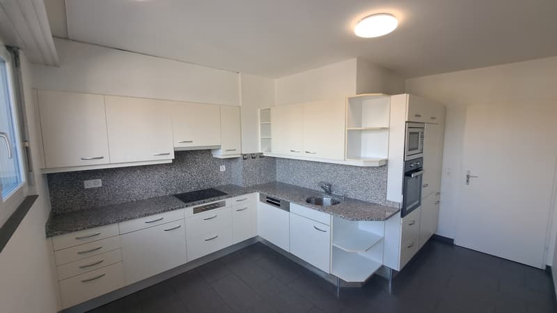 Traumhafte 4.5-Zimmer-Dachwohnung an der Palmenstrasse in Basel (4)