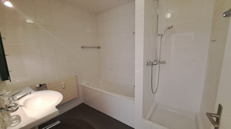 Traumhafte 4.5-Zimmer-Dachwohnung an der Palmenstrasse in Basel (8)