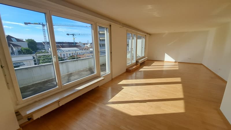 Traumhafte 4.5-Zimmer-Dachwohnung an der Palmenstrasse in Basel (2)