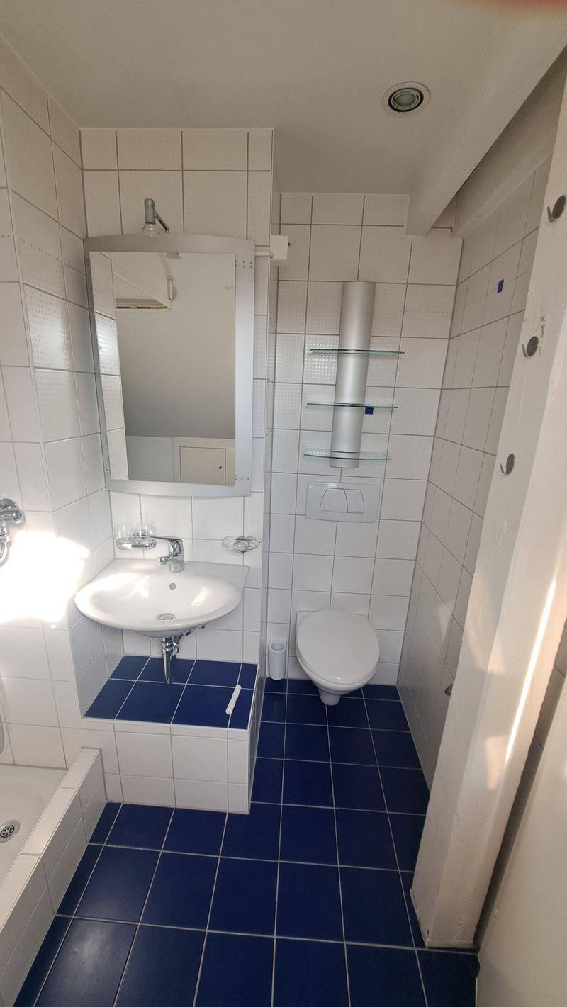 Traumhafte 4.5-Zimmer-Dachwohnung an der Palmenstrasse in Basel (7)