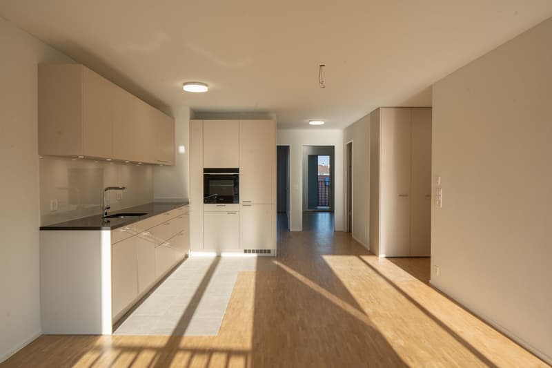 Neubauwohnung (mit Freecooling-System, Erdsonden-Heizung, Photovoltaik-Strom) (1)