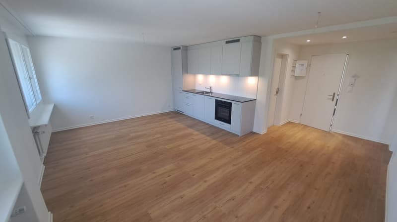 Helle, moderne 2-Zimmer-Wohnung in Reinach (2)
