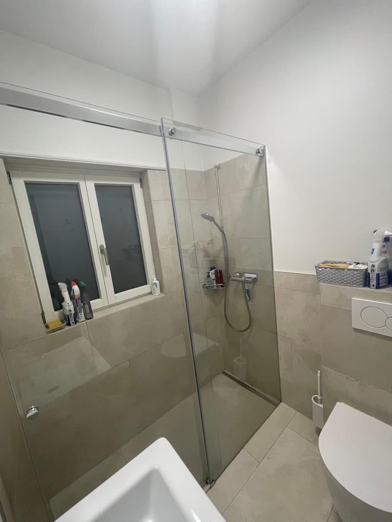 BUSINESS APARTMENT QUIET & CENTRAL & ROOF-DECK WITH MAGNIFICENT PANORAMIC VIEW (13)