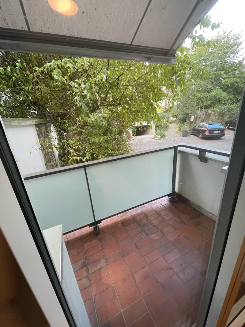 BUSINESS APARTMENT QUIET & CENTRAL & ROOF-DECK WITH MAGNIFICENT PANORAMIC VIEW (8)