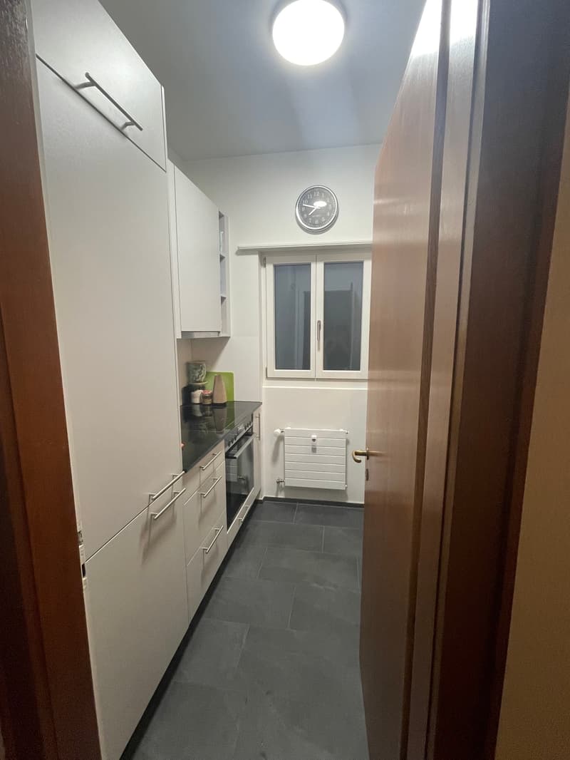 BUSINESS APARTMENT QUIET & CENTRAL & ROOF-DECK WITH MAGNIFICENT PANORAMIC VIEW (9)
