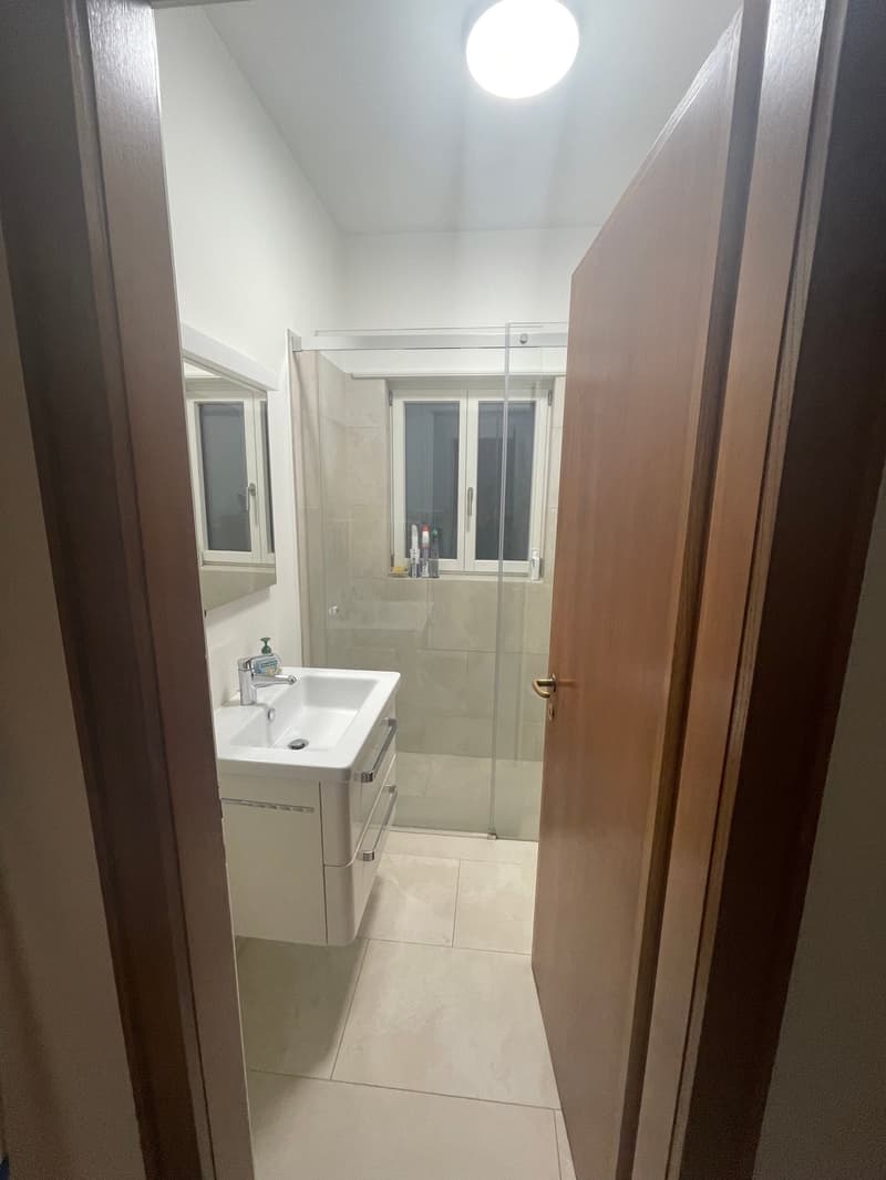 BUSINESS APARTMENT QUIET & CENTRAL & ROOF-DECK WITH MAGNIFICENT PANORAMIC VIEW (12)