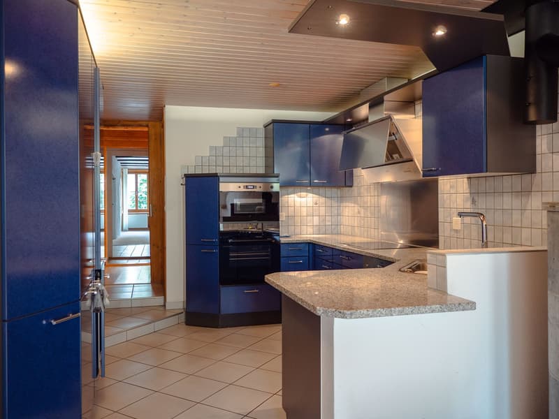 Historic old town house with residential and commercial part in Nidau (4)