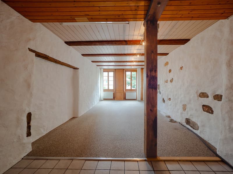 Historic old town house with residential and commercial part in Nidau (3)