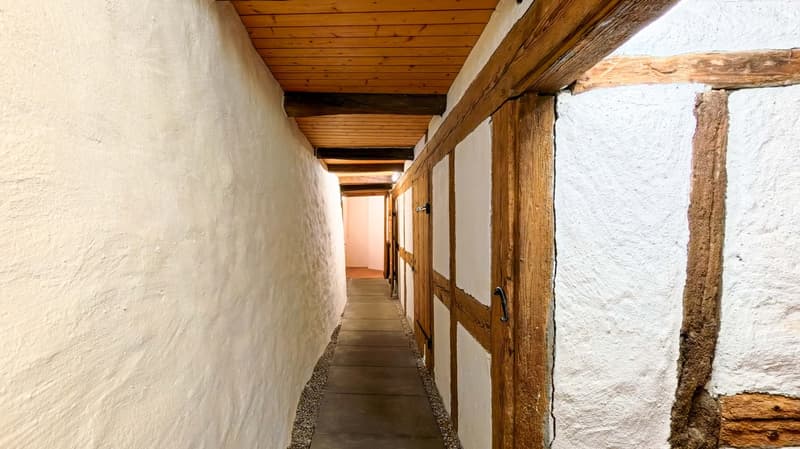 Historisches Altstadthaus mit Wohn- und Gewerbeteil in Nidau (6)