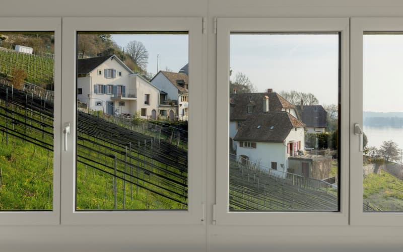 Terrassenhaus mit Seesicht (3)
