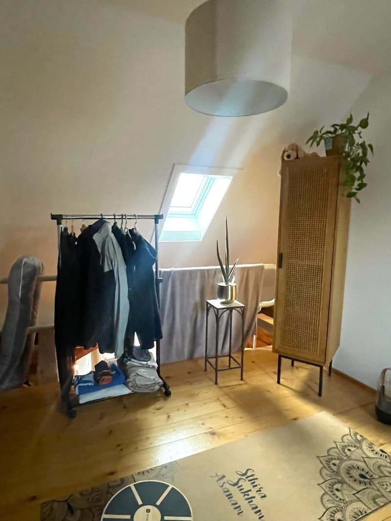Charming attic apartment in the heart of Solothurn (5)