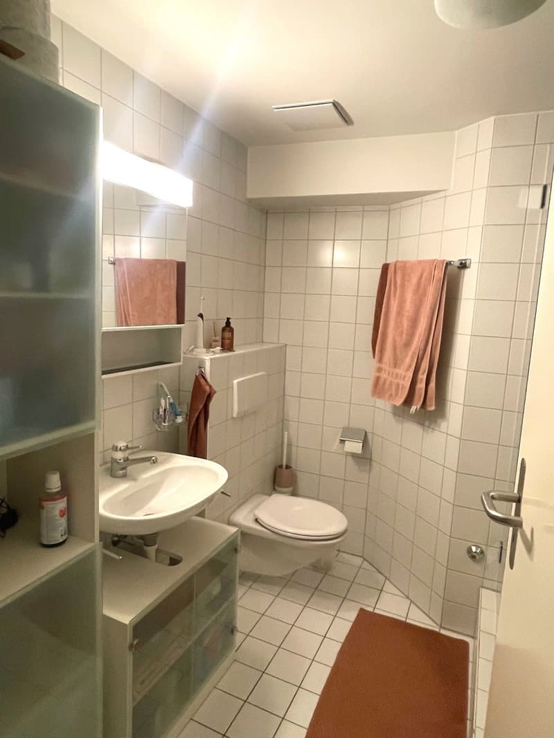 Charming attic apartment in the heart of Solothurn (6)