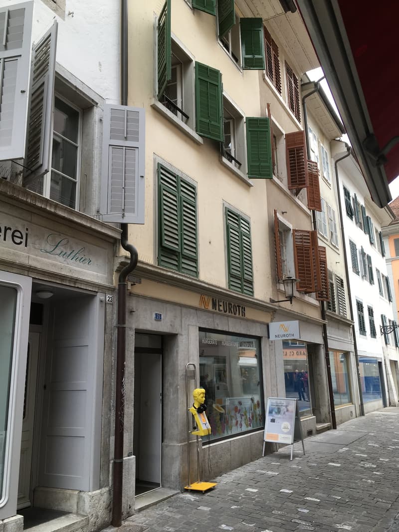 Charming attic apartment in the heart of Solothurn (1)
