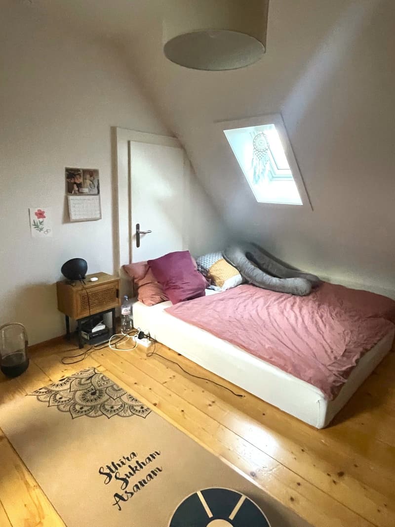 Charming attic apartment in the heart of Solothurn (4)