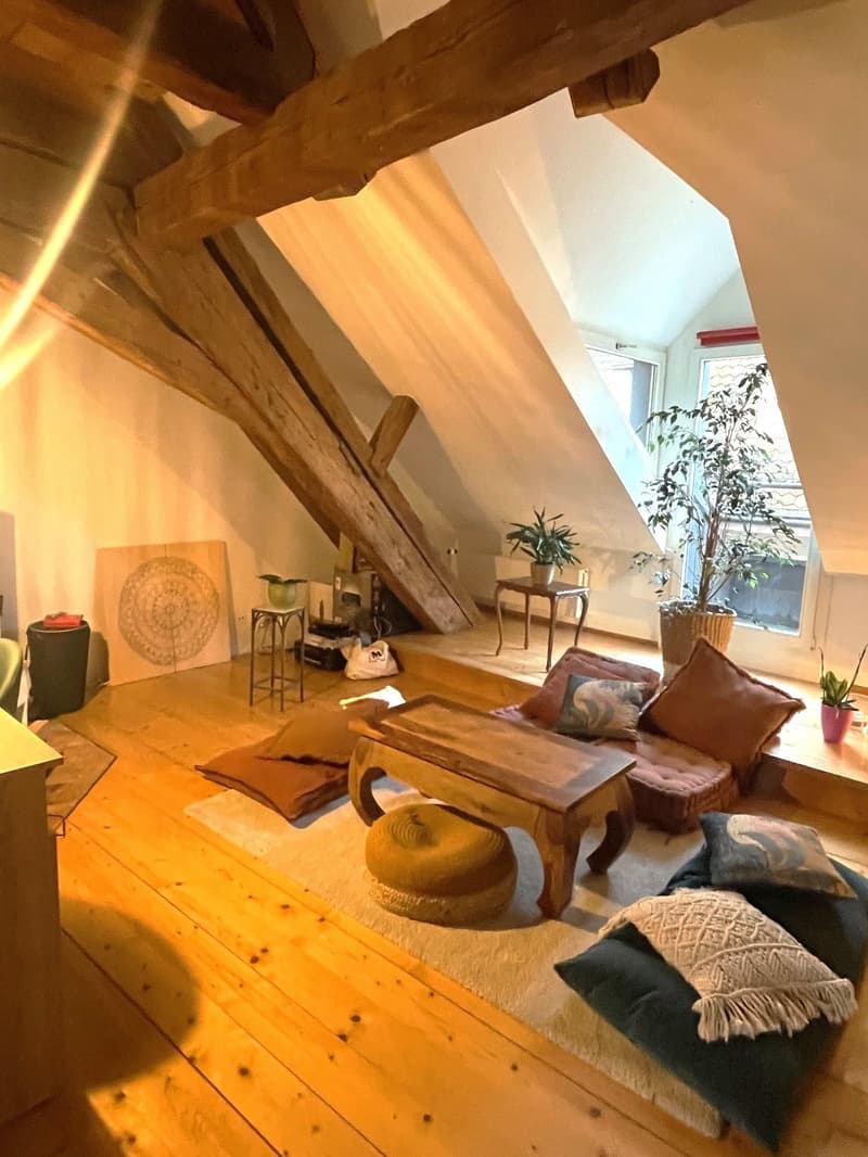 Charming attic apartment in the heart of Solothurn (3)
