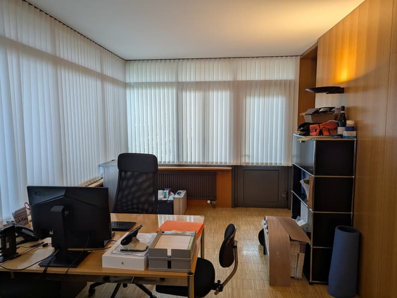 Ihre repräsentative Geschäftsadresse in Solothurn (3)