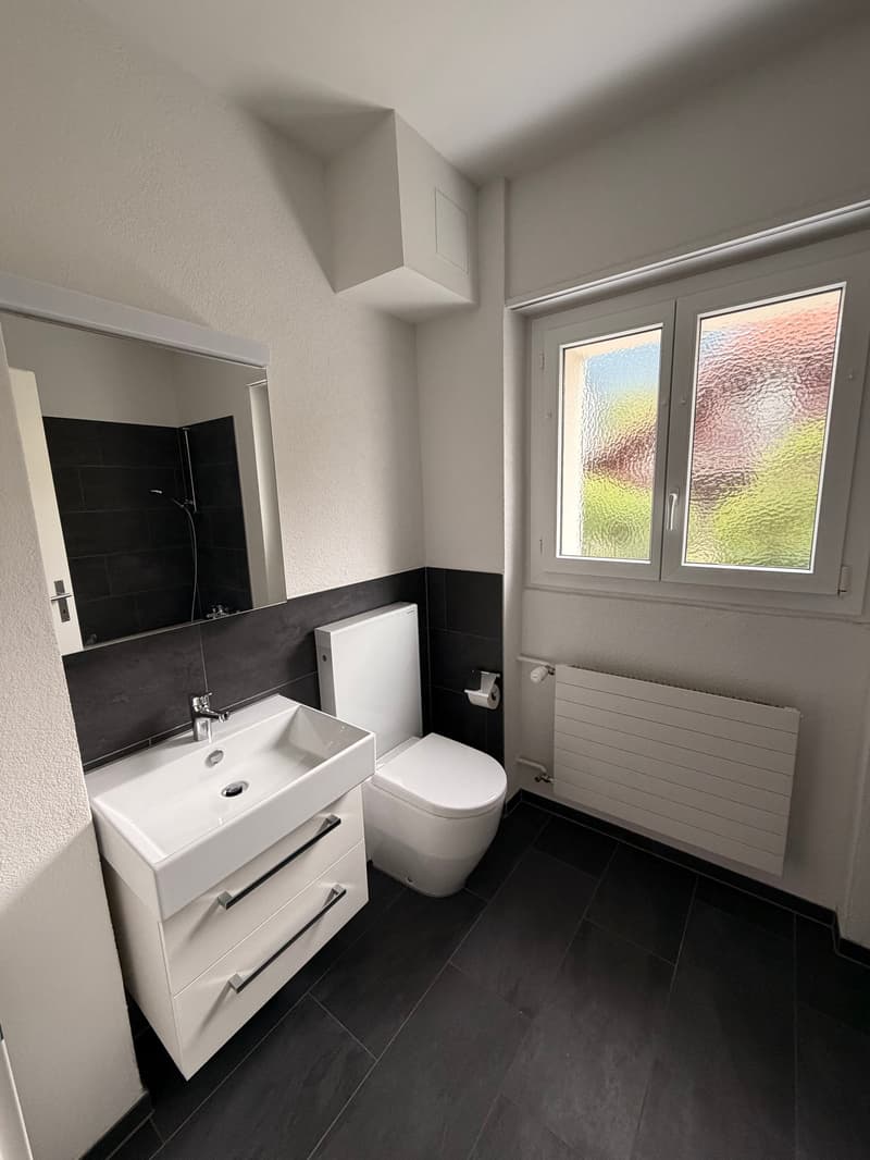 Appartement lumineux 3.5 pièces avec balcon à Grenchen (12)