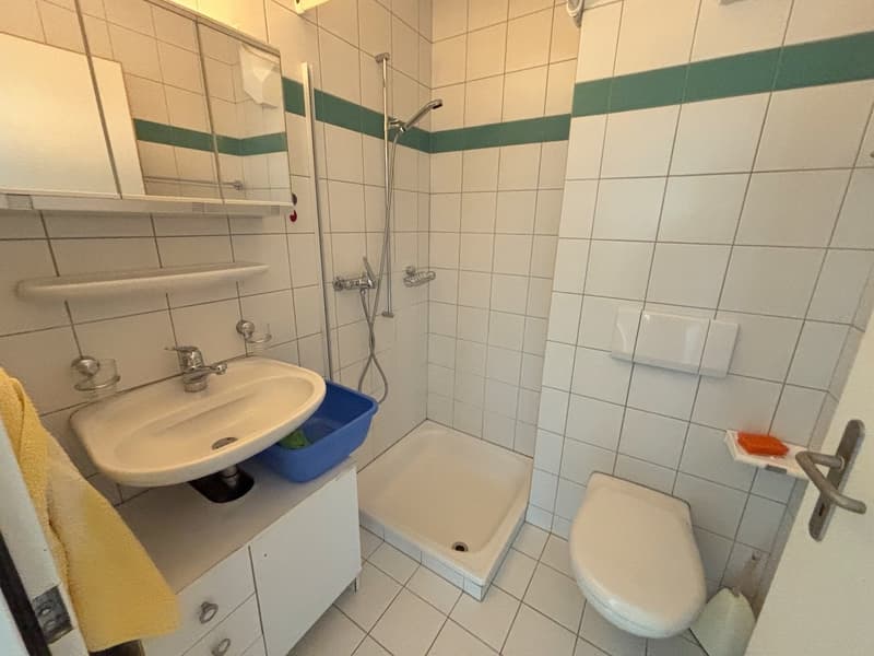 Charmante 4.5-Zimmer-Wohnung mit Balkon und schöner Aussicht in Grenchen (9)