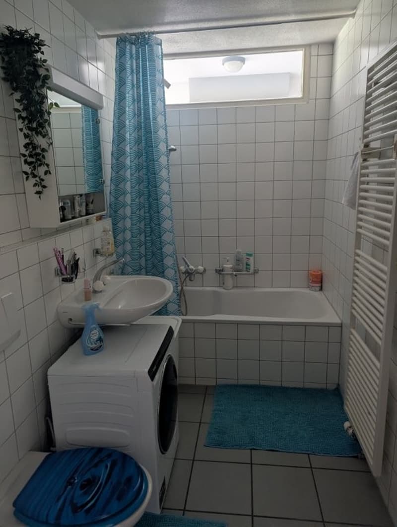 Incantevole appartamento di 2 camere (5)
