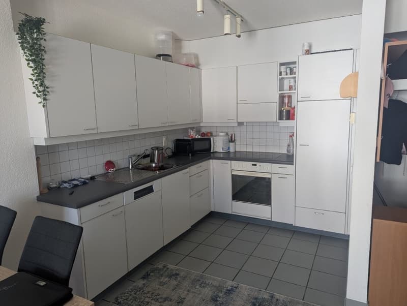 Incantevole appartamento di 2 camere (3)