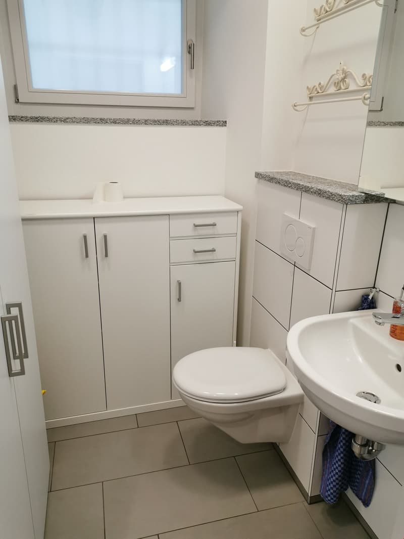 Bürofläche / Gewerberaum an der Gerberngasse in Solothurn (3)