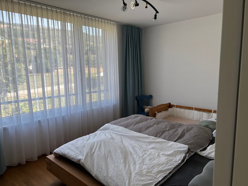 Helle 4.5-Zimmer-Wohnung (5)