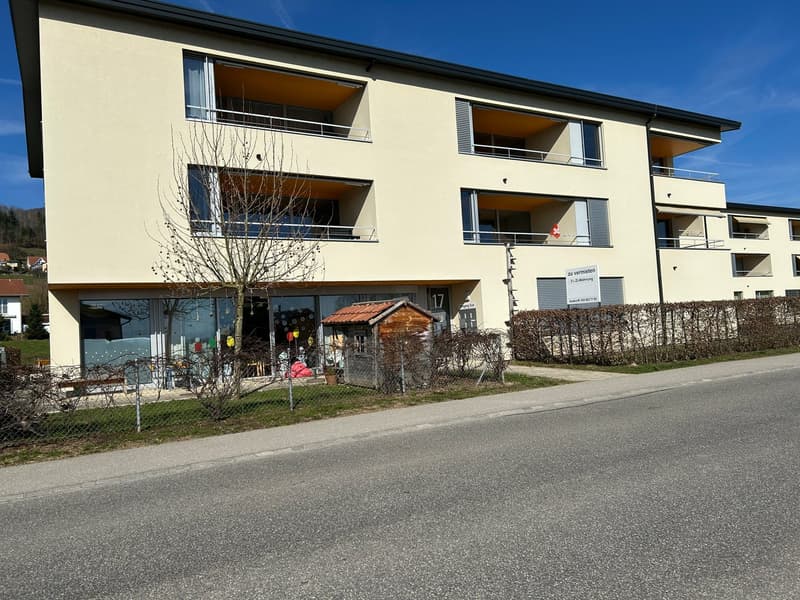 Helle 4.5-Zimmer-Wohnung (1)