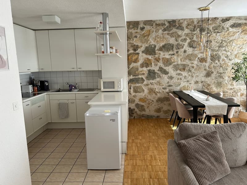 Charmante 2-Zimmer-Wohnung im Altbau an zentraler Lage in Solothurn (2)