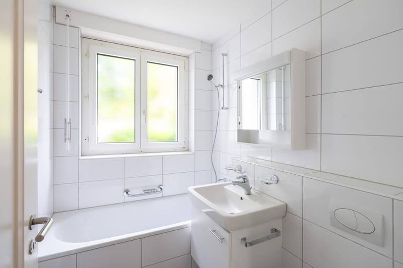 Charmante 3-Zimmer-Wohnung mit Balkon in Solothurn (7)