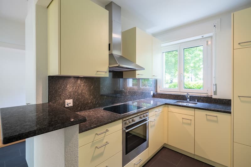 Charmante 3-Zimmer-Wohnung mit Balkon in Solothurn (2)