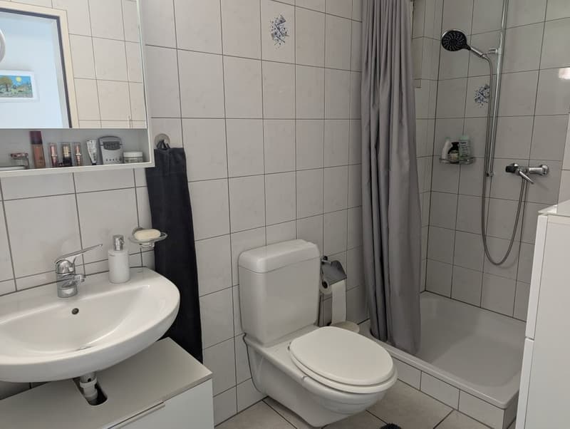 4.5 Zimmer mit 125 m² und Aussenflächen in drei Himmelsrichtungen (9)